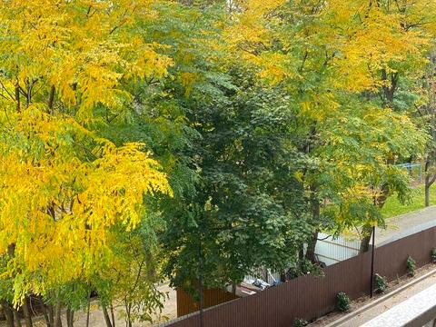 квартира по адресу Дача Ковалевского ул., 91