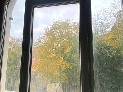 квартира по адресу Дача Ковалевского ул., 91