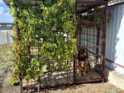 участок по адресу Смоленська вул.