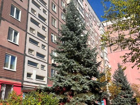 квартира по адресу Мандрыковская ул., 163