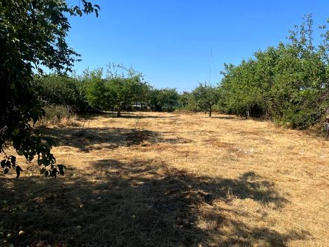 ділянка за адресою Чарівна