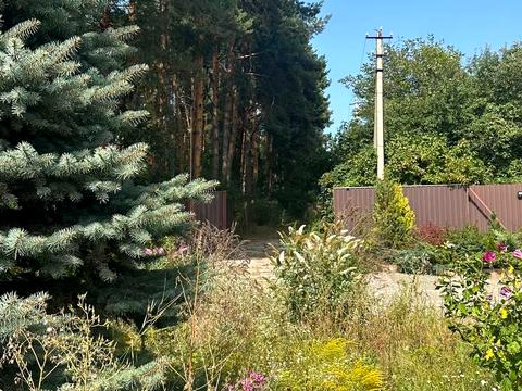 дом по адресу Горіхова