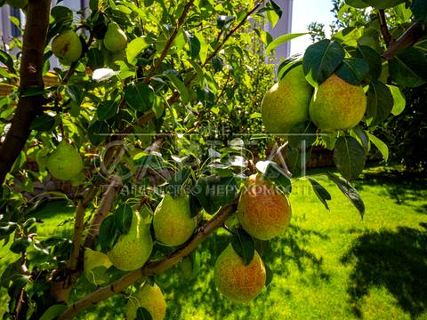 будинок за адресою Східна