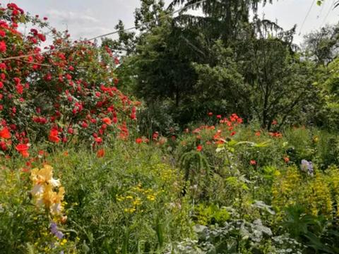 будинок за адресою Петропавлівська вул. (Енгельса)