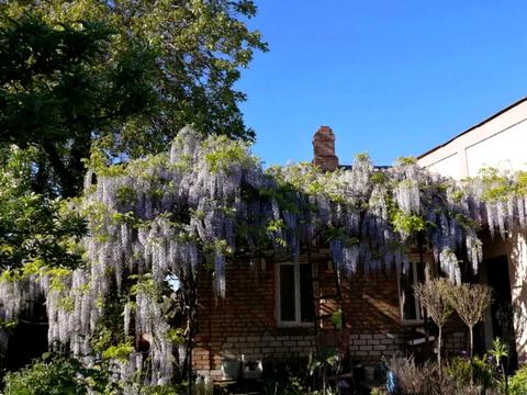 дом по адресу Петропавловская ул. (Энгельса)