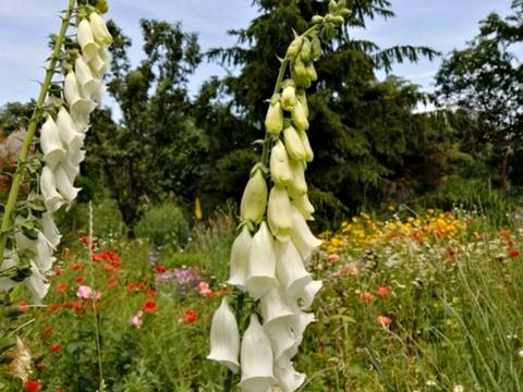будинок за адресою Петропавлівська вул. (Енгельса)