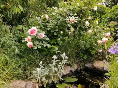 будинок за адресою Петропавлівська вул. (Енгельса)