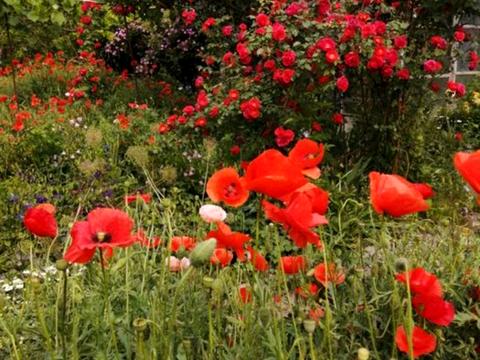 будинок за адресою Петропавлівська вул. (Енгельса)