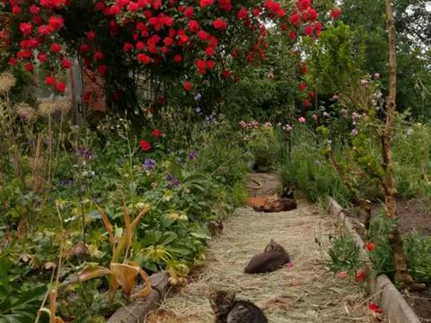 будинок за адресою Петропавлівська вул. (Енгельса)