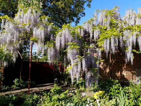 будинок за адресою Петропавлівська вул. (Енгельса)
