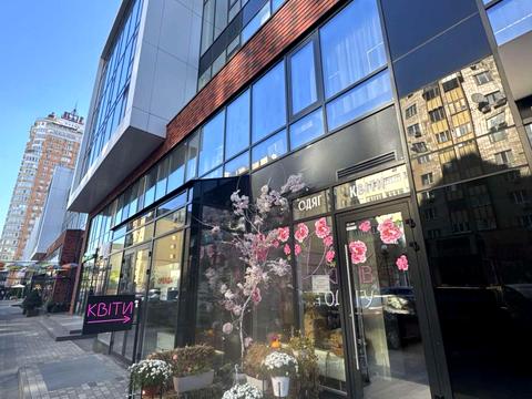 комерційна за адресою Левка Лук'яненка вул. (Маршала Тимошенка), 21к4