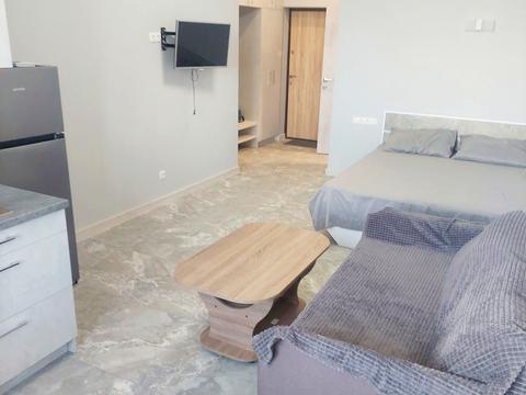 квартира по адресу Дача Ковалевского ул., 91