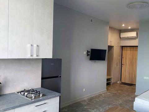 квартира по адресу Дача Ковалевского ул., 91