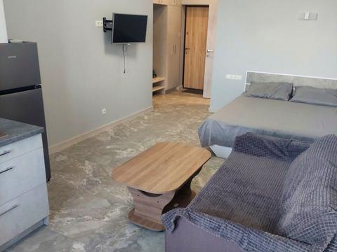 квартира по адресу Дача Ковалевского ул., 91