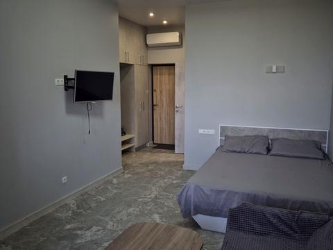 квартира по адресу Дача Ковалевского ул., 91