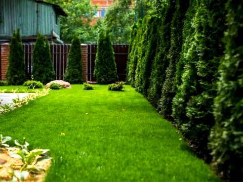 дом по адресу Стеценко ул.