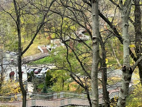 квартира за адресою Велика Житомирська вул., 16