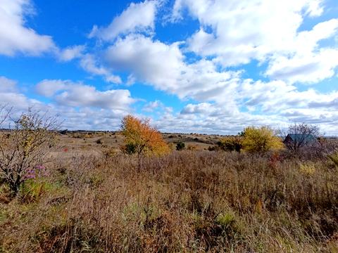 ділянка за адресою Василя Зеньковського вул.