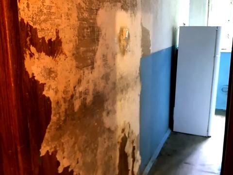 квартира по адресу Академика Павлова ул., 140а