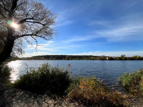 квартира за адресою Живописна вул., 3