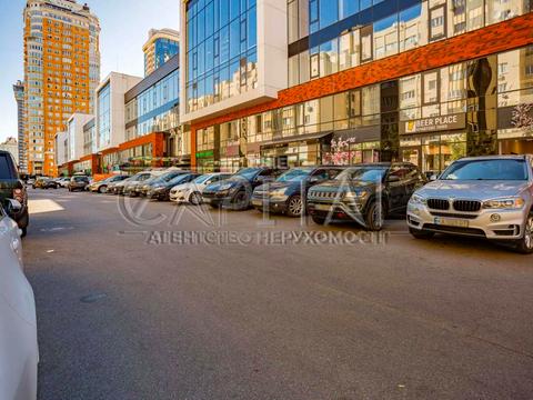 комерційна за адресою Левка Лук'яненка вул. (Маршала Тимошенка), 21