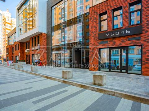 комерційна за адресою Левка Лук'яненка вул. (Маршала Тимошенка), 21