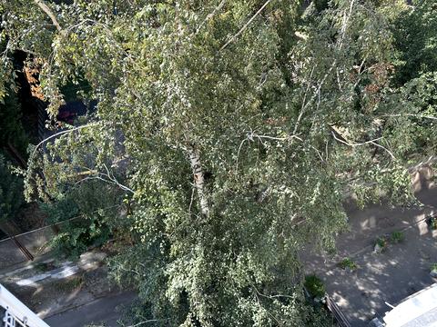 квартира по адресу Кловский спуск (Кловський), 20