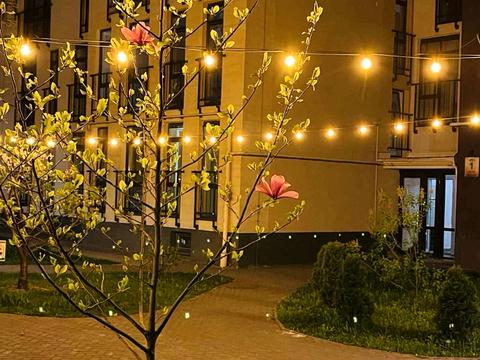 квартира за адресою Стрийська вул., 29