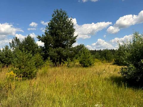 участок по адресу с. Ясногородка, 