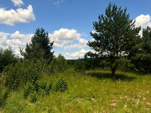 участок по адресу с. Ясногородка, 