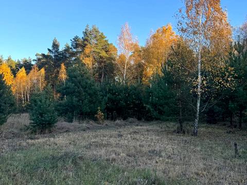 участок по адресу с. Ясногородка, 