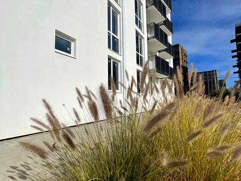 квартира за адресою Героїв Крут вул., 1