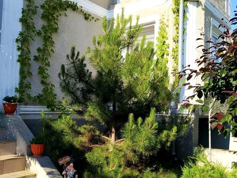 будинок за адресою линия3