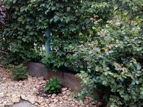 будинок за адресою линия3