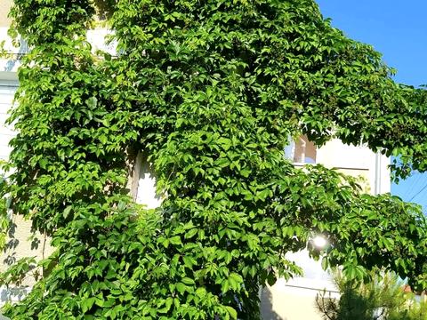 будинок за адресою линия3