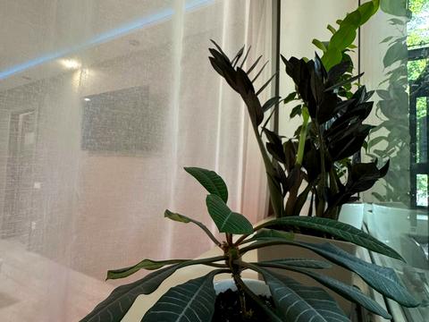 квартира по адресу Героев Крут ул. (Фурманова), 3