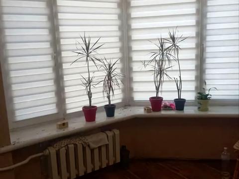 квартира за адресою Пілотська вул., 5