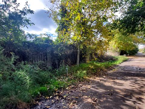 ділянка за адресою Естонська вул.