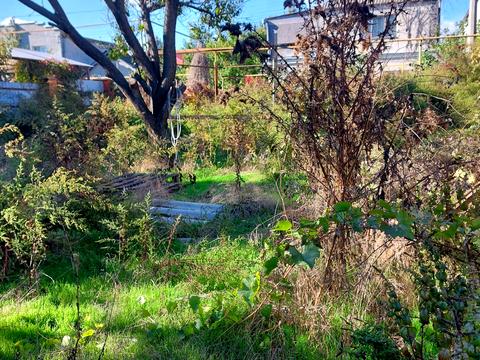 ділянка за адресою Естонська вул.