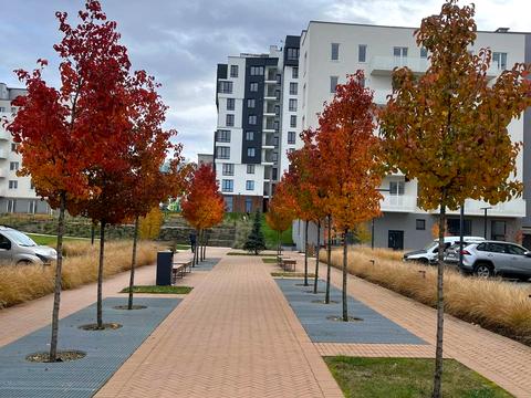 квартира за адресою Тараса Шевченка вул., 113