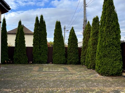 дом по адресу Спасська