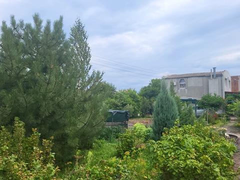 дом по адресу СТ Росток, 53