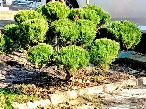 дом по адресу СТ Росток, 53