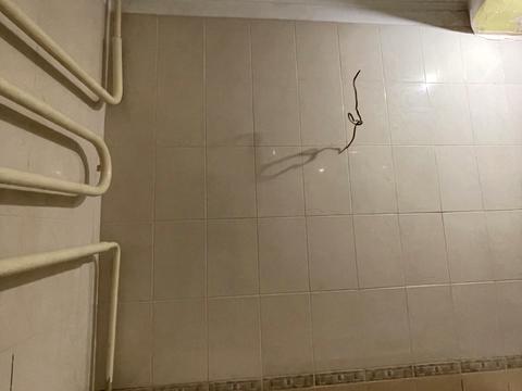 квартира за адресою Чоколівський бульв., 19