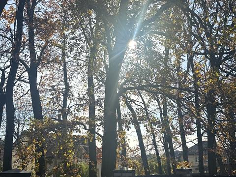 будинок за адресою Покровська вул.