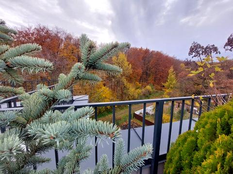 квартира за адресою Петра Лодія вул., 6