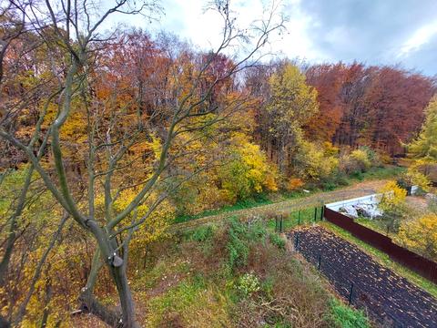 квартира за адресою Петра Лодія вул., 6