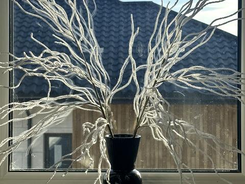 дом по адресу Виноградная ул.