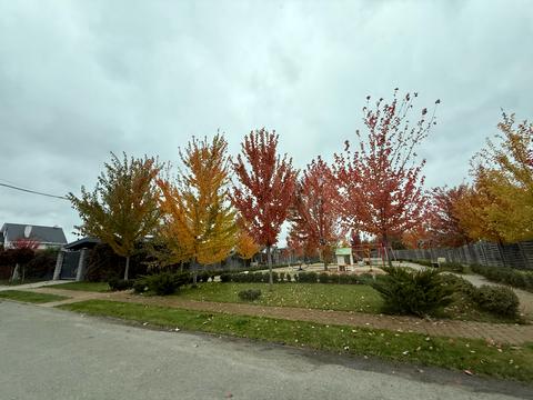 будинок за адресою Кібенка