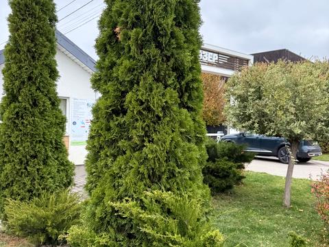 будинок за адресою Кібенка